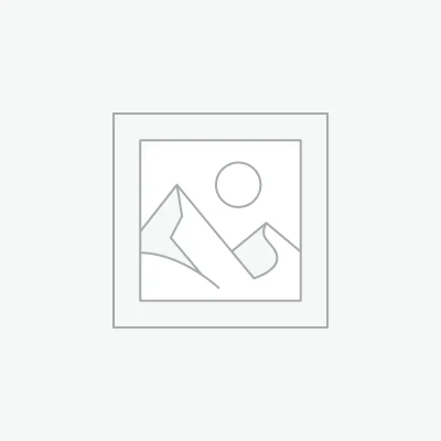 GTPOW 100W Glass Solar Panels